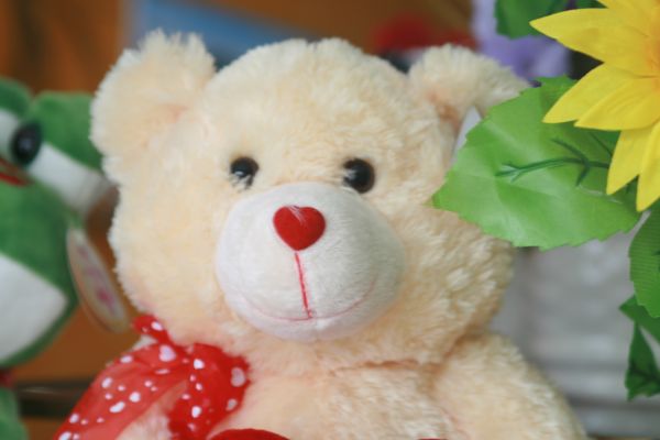 Urso de pelucia